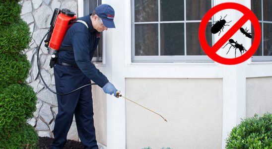 Dursunbey Bit İlaçlama böcek ilaçlama ve haşere kontrolü — ilaclama-tr.com